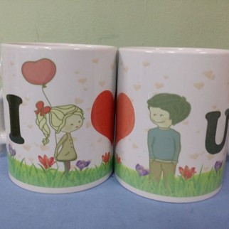 12726579_1048375375237030_220816337_n