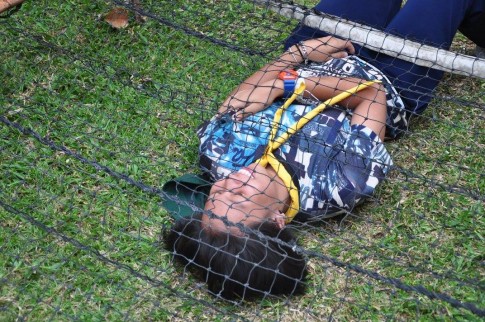 12901304_1230314140329416_4695750688998608480_o